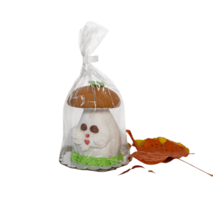 Meduolinis Grybas “Karalius”